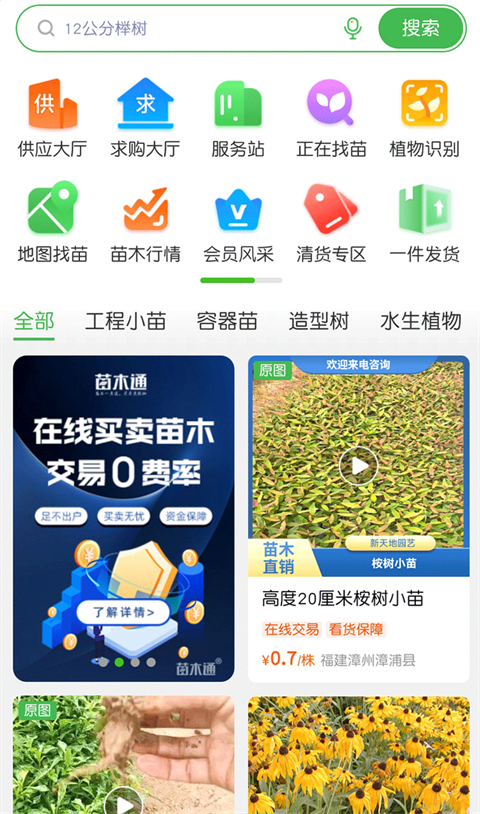 苗木通app