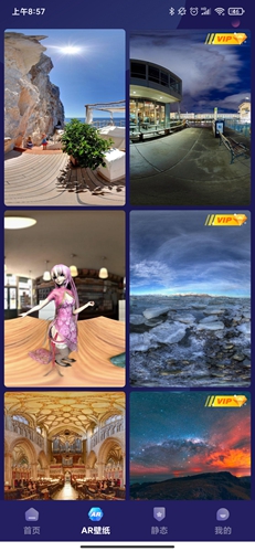 主题动态壁纸app