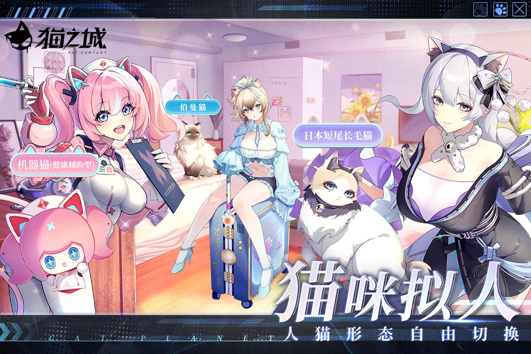 猫之城九游版