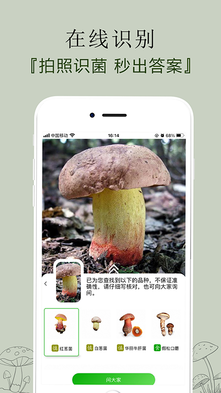 菌窝子官方正版