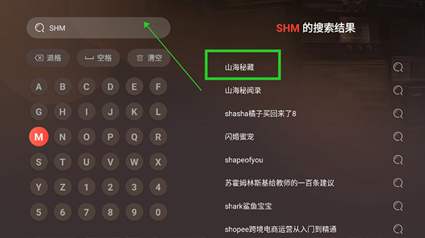 喜马拉雅TV版app
