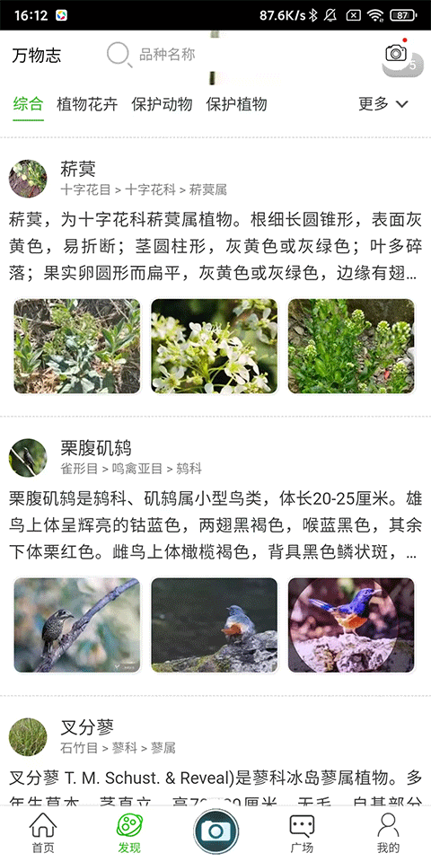 万物识别最新版