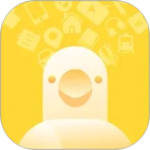 白鸽乐保app最新版