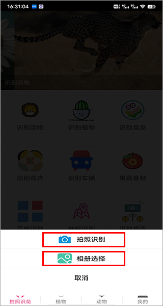 拍照识花神器官方版