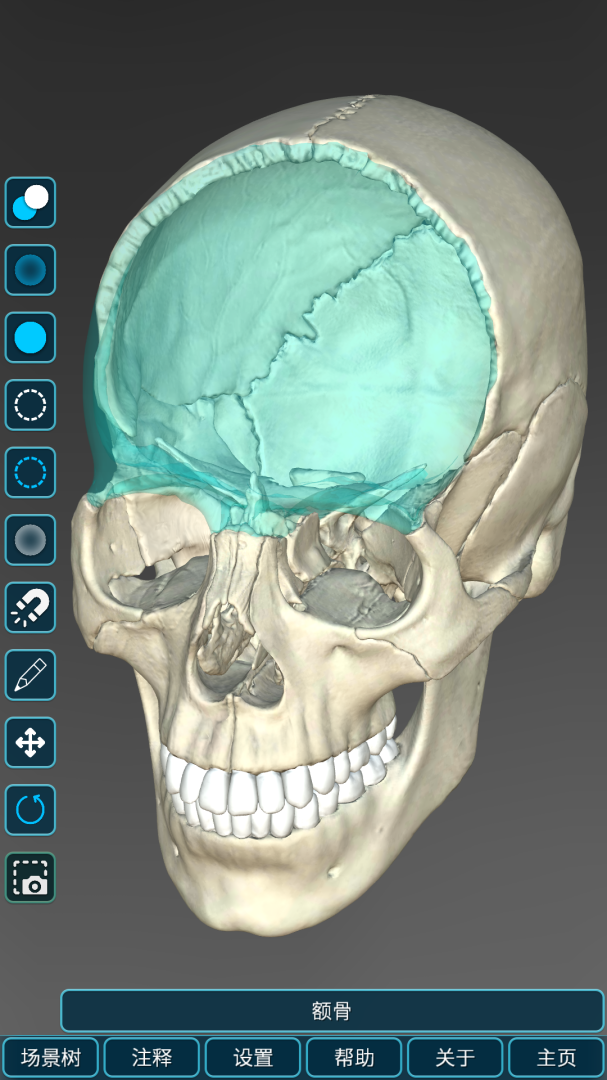 人体解剖学图集