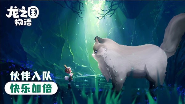 龙之国物语b服版