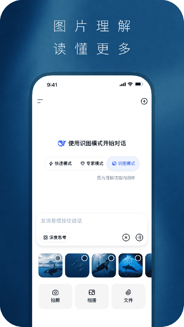 DeepSeek