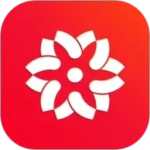 大于众学最新app官方版