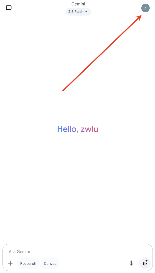 Google Gemini官方版