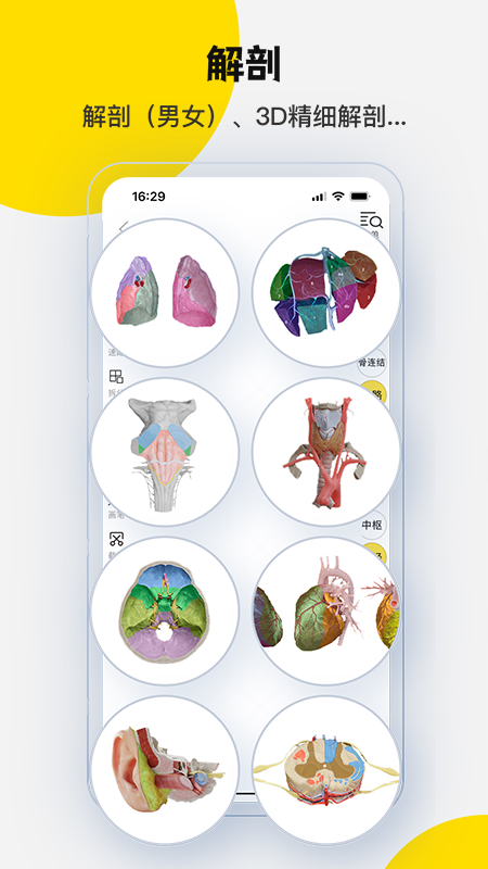 3DBody解剖官方版app