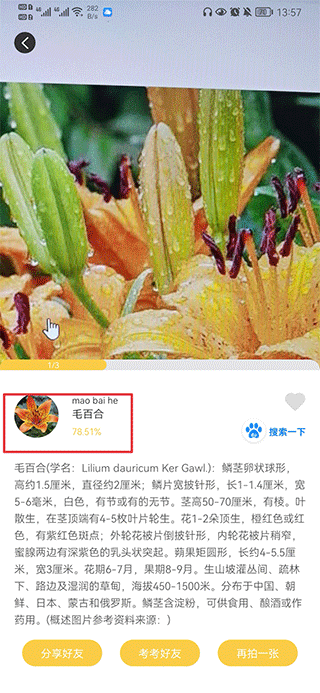 拍照识物官方版