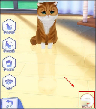 梦间集天鹅座华为渠道版