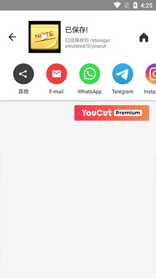 youcut专业版app