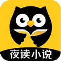 夜读小说