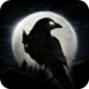 夜鸦国际服(NightCrows)