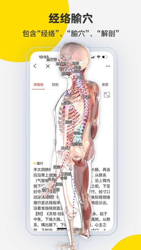 3DBody解剖官方版app