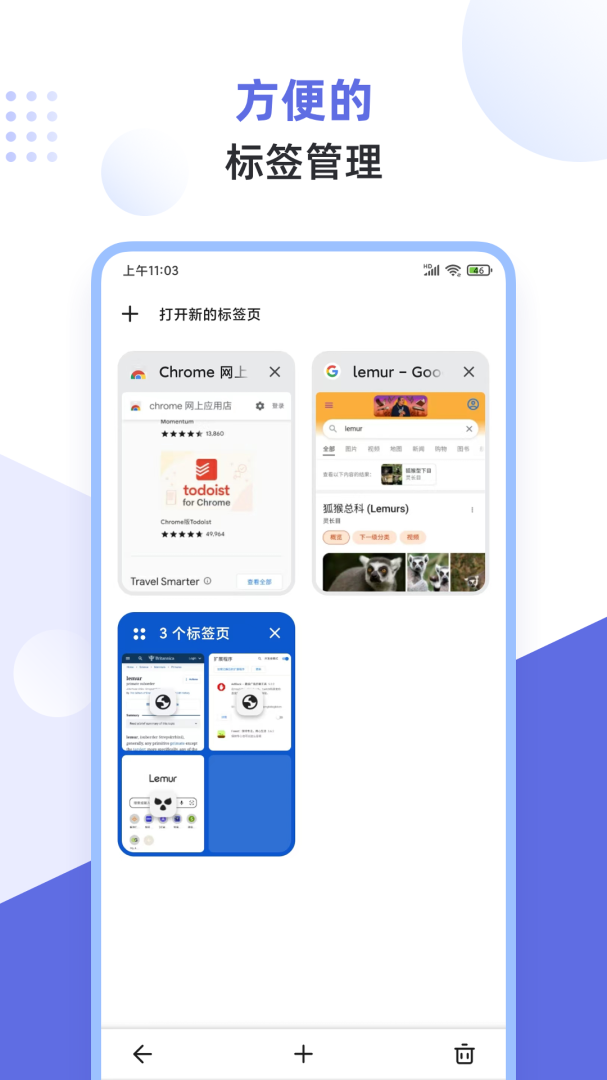 狐猴浏览器app官方版