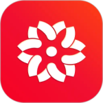 大于众学最新app官方版