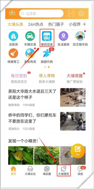 大埔网app