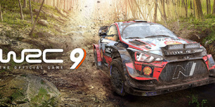 世界汽车拉力锦标赛9