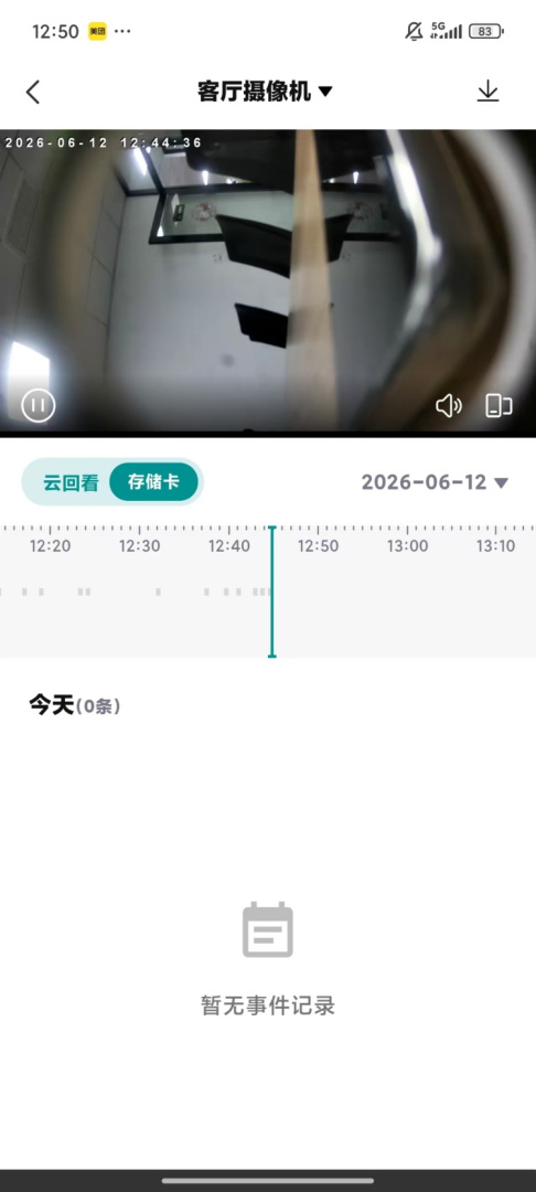 小鹤看家