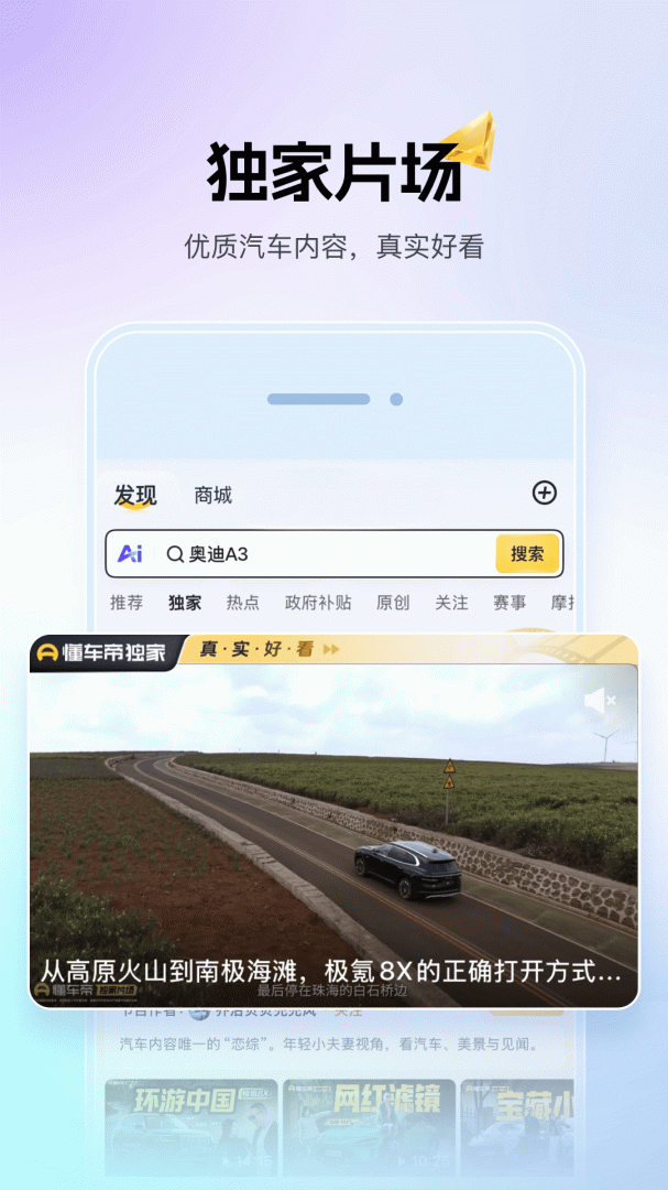 懂车帝大字版