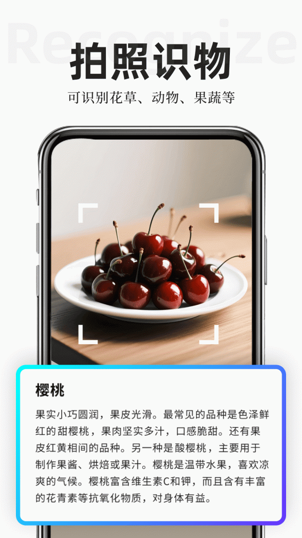 扫描专家app
