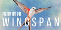 展翅翱翔