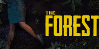 The Forest