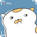 主播和猫的故事