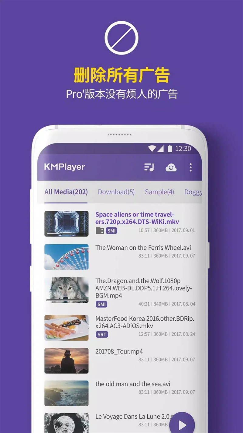 kmplayer pro版
