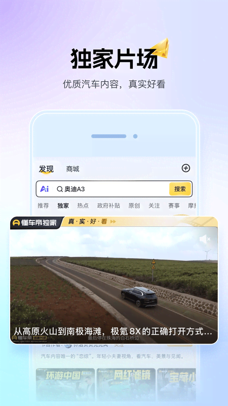 懂车帝大字版