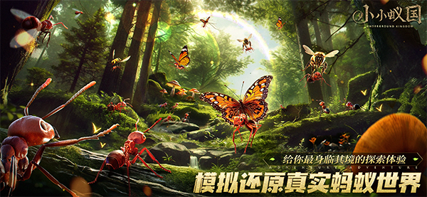 小小蚁国国际服(The Ants)