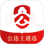 公选王官方版