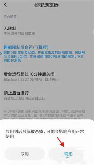 秘密浏览器官方正版