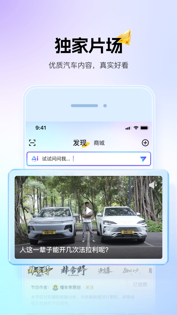 懂车帝大字版