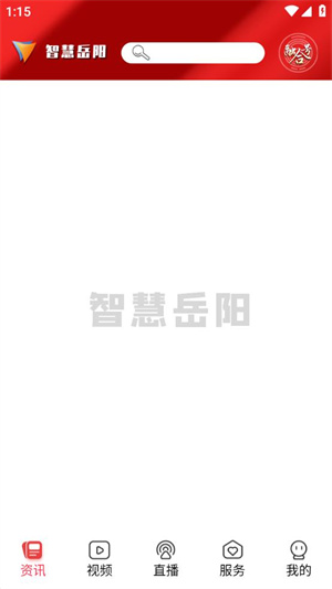 智慧岳阳官方版