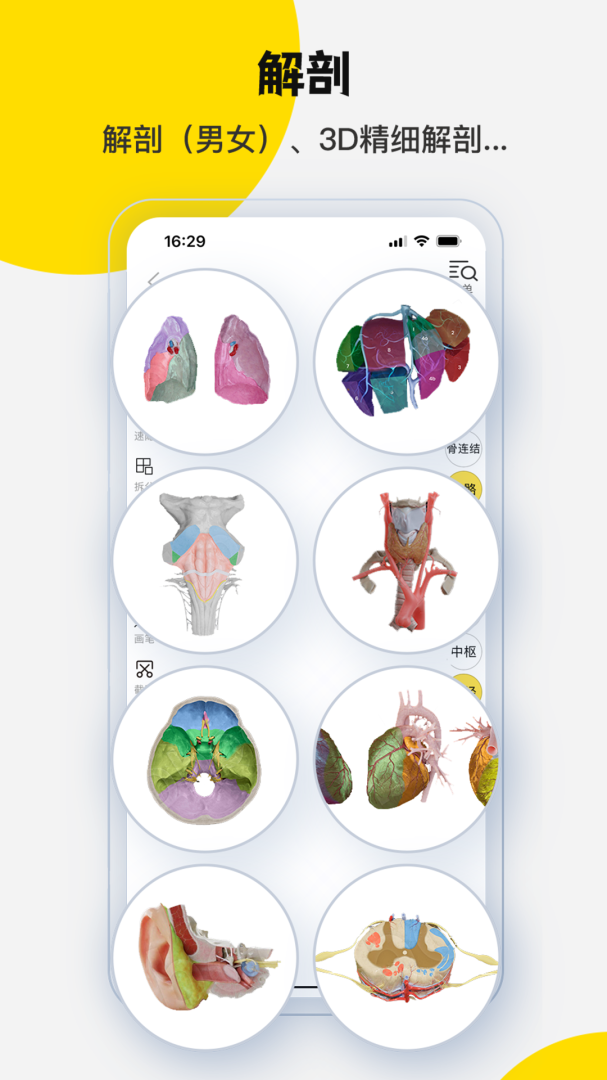 3DBody解剖官方版app