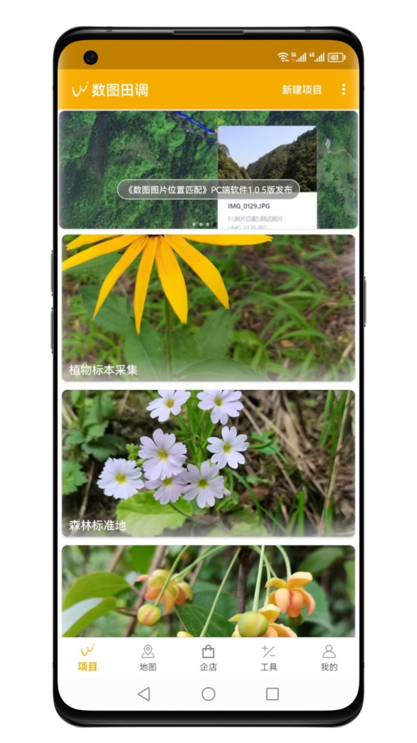 数图