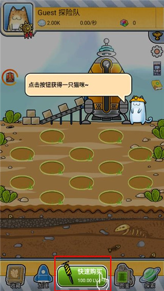 懒洋洋的宝藏猫最新版