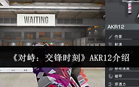 《对峙：交锋时刻》AKR12介绍