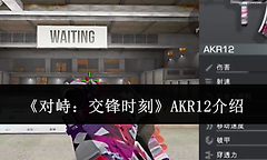 《对峙：交锋时刻》AKR12介绍