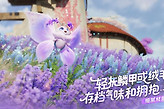 伊莫纯电队阵容搭配思路