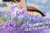 伊莫纯电队阵容搭配思路