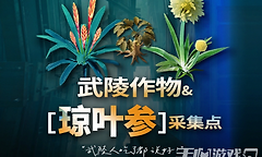 明日方舟终末地武陵琼叶参在哪采集？