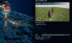 轮回之兽艾玛和库乌怎么加点？