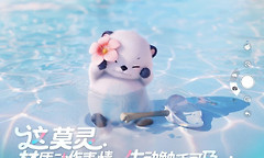 伊莫开局主宠怎么选