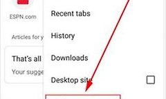 Google浏览器怎么设置中文？