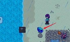 星露谷物语彩虹贝壳获取方法