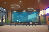 《动物园之星2》水族箱建造、过滤管网与人员维护